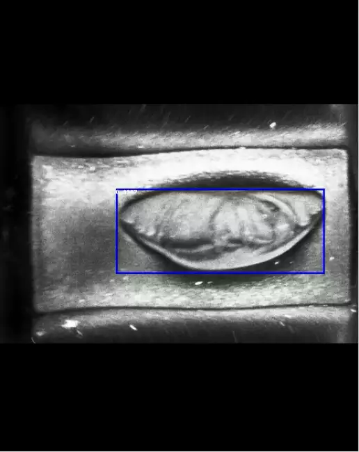 fatigue de mattia ai camera: De-Mattia-Fatigue_Check-AI_Camera: image of a specimen with large defect detected by AI analysis.